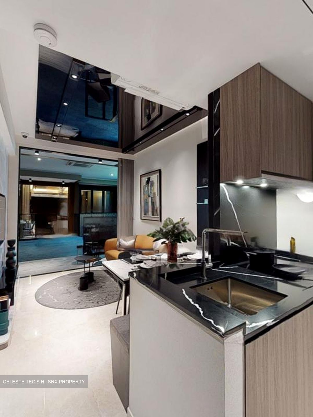 Irwell Hill Residences (D9), Apartment #471350261